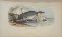image of Histoire Naturelle de Lacepede Comprenant les Cetaces, les Quadrupedes Ovipares, les Serpents et les Poissons. Nouvelle edition Precedee de L'eloge de Lacepede par Cuvier avec des notes et la Nouvelle Classification de M. A.-G. Desmarest