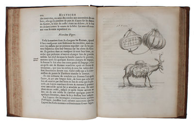 Histoire de la Laponie, Sa Description, L'Origine, Les Moeurs, La maniere de vivre de ses Habitans, leur Religion, leur Magie, & les choses rares du Païs. Avec pusieurs Additions & Augmentations fort curieuses, qui jusques-icy n'ont pas eté imprimée... - [THE FIRST EXTENSIVE WORK ON LAPLAND AND THE LAPPS] (photo 3)