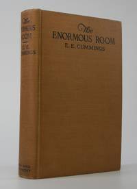 image of The Enormous Room