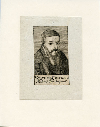 Medicus Noribergensis. Engraved Portrait