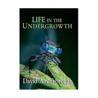 Life in the Undergrowth