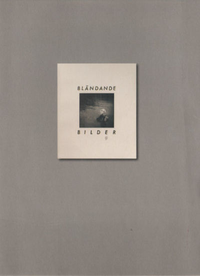BLÄNDANDE BILDER (återuppförd) / DAZZLING…