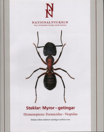 STEKLAR: MYROR - GETINGAR. Hymenoptera:…