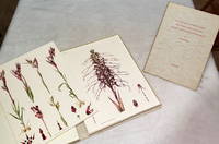 Monographie Und Ikonographie Der Orchidaceen-Gattungen Serapias - Aceras - Loroglossum - Barlia...