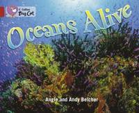 Oceans Alive: Find out what lies under the ocean in this stunning photographic book. (Collins Big...
