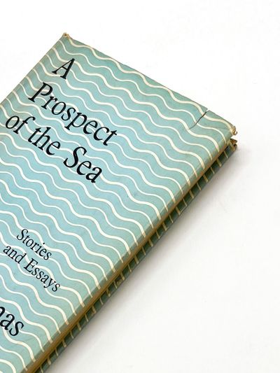 A PROSPECT OF THE SEA: Stories and Essays