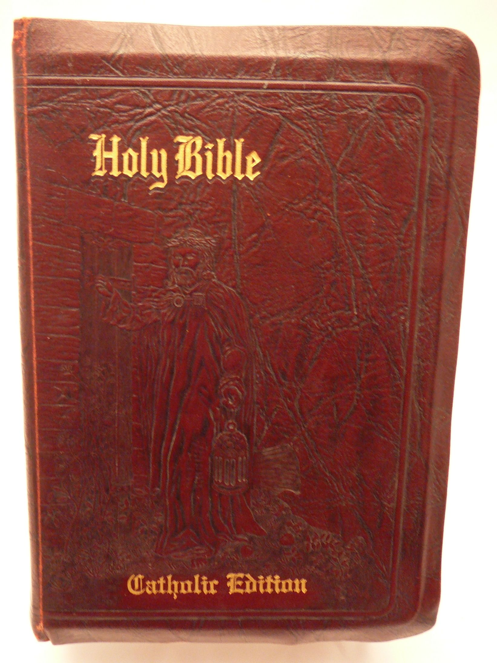 Holy Bible Light Of The World Edition. Illustrated New American