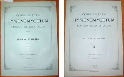 Icones selectæ hymenomycetum nondum delineatorum.…