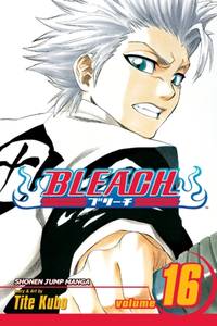 Bleach, Vol. 16 : Knight of Wijnruit