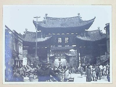 FIELD ALBUM OF WESTERN CHINA -...