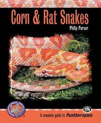 Corn and Rat Snakes : A Complete Guide to Pantherophis