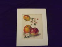 The Fruit Grower's Guide: Apples.