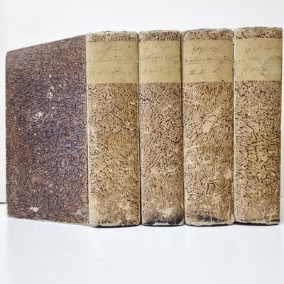 Geist aus Luther's Schriften oder Concordanz der…