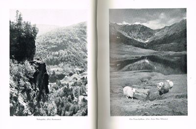 Den Norske Turistforenings årbok. 10 årganger. 1950-1959. (photo 2)