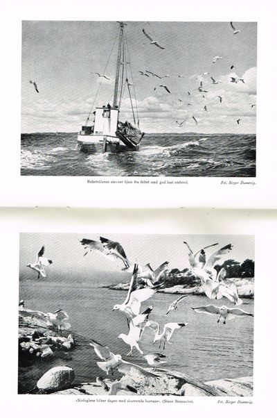 Den Norske Turistforenings årbok. 10 årganger. 1950-1959. (photo 3)