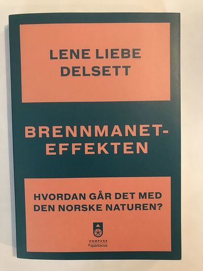Brennmaneteffekten. Hvordan går det med den…