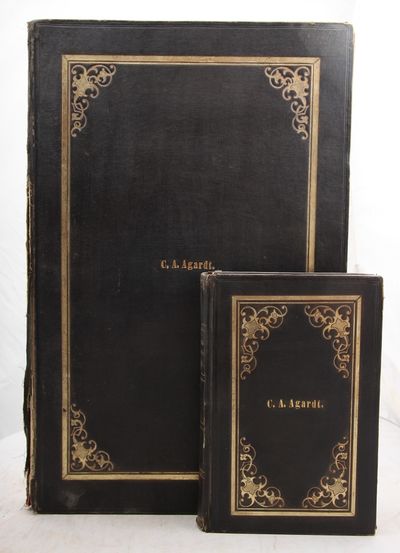 Ornithologia Danica. Danmarks fugle i 304…