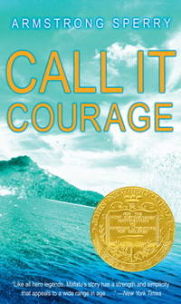 Call It Courage (Reprint)