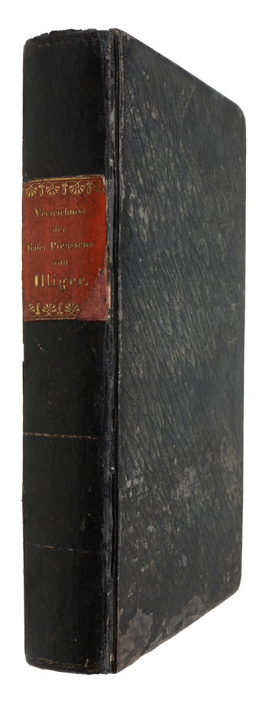 Verzeichniss der Käfer Preussens. Entworfen von Johann Gottlieb Kugelann. Ausgearbeitet von Johann Karl Wilhelm Illiger. Mit einer Vorrede des Professors...Hellwig...und dem angehängten Versuche einer natürlichen Ordnungs- und Gattungs-Folge der Insek... (photo 2)