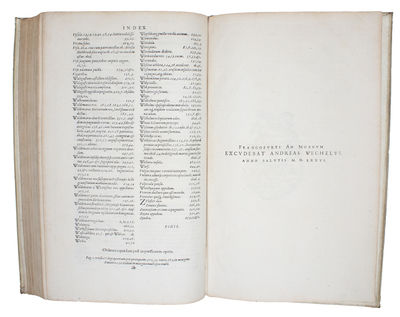 Danica historia libris XVI, annis ab hinc trecentis qvinqvaginta summa verborum elegantia, magna sententiarum grauitate, rerum denique admiranda varietate, intermixtis aliarum quoque Gentium historijs, conscripta. (photo 2)