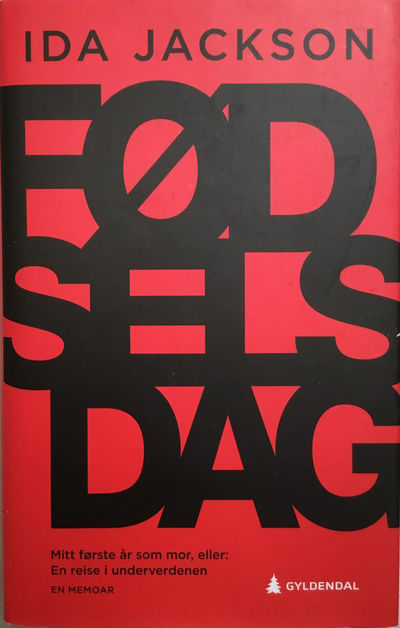 Fødselsdag. Mitt første år som mor, eller: En…