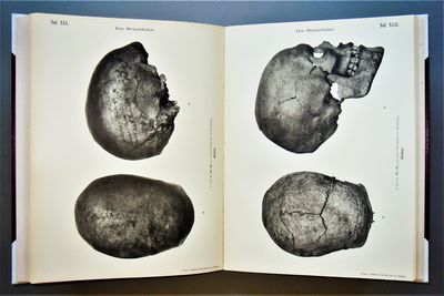 Crania Suecica Antiqua: Eine Darstellung der Schwedischen Menschen-Schädel aus dem Steinzeitalter, dem Bronzezeitalter und dem Eisenzeitalter sowie ein Blick auf die Forschungen über die Rassencharaktere der Europäischen Völker
