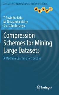 Compression Schemes for Mining Large Datasets: A Machine Learning Perspective