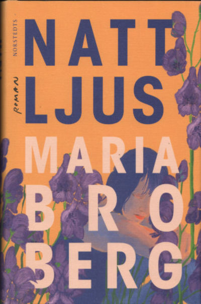 NATTLJUS.