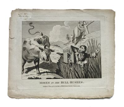 Moses in the Bull-Rushes