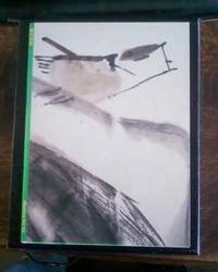 image of Xie Jun Paintings
