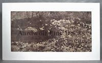 Circa 1950 Fairchild Aerial Photograph, Cathedral City, Rancho Mirage, Palm Desert, Indio, California by Fairchild Aerial Surveys - 1950 - from AARDWOLF Fine Books (SKU: 6325)