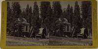 California - Big Trees. No. 1093. Stump House and But-end of Original Big Tree, diam. 25 feet. Calaveras Co