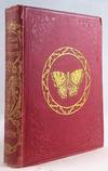 Popular British Entomology