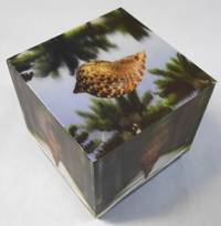Visionaire 62 Rio [RARE STEREOSCOPE IN LENTICULAR CASE/CUBE - FINE]