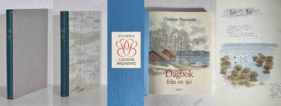 Dagbok från en sjö.