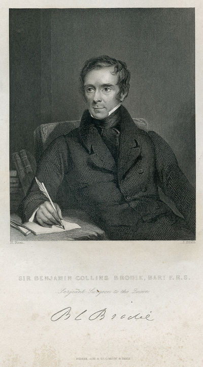 Serjeant Surgeon to the Queen