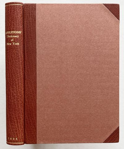 Appleton's Dictionary of New York and Its…