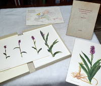 Monographie Und Ikonographie Der Orchidaceen-Gattung Dactylorhiza (two volumes)