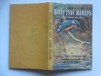 image of British birds and their nests: series 536