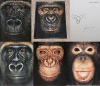 JAMES &amp; OTHER APES: PHOTOGRAPHS BY JAMES MOLLISON by Mollison, James (Photographer) & Goodall, Jane (Contributor) - 2005