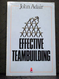 image of Effective Teambuilding