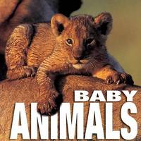 Baby Animals