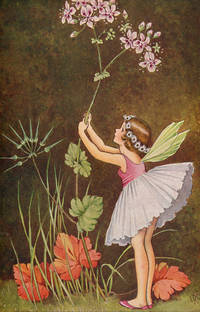 image of A Bunch of Wild Flowers