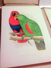 PARROTS IN CAPTIVITY