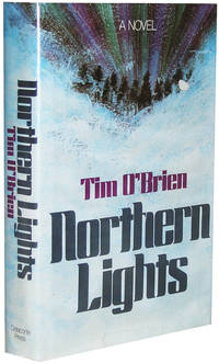 image of Northern Lights
