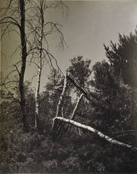 A group of 7 photographs by the New York heiress