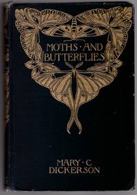 Moths and Butterflies