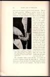 View Image 4 of 4 for Moths and Butterflies Inventory #31970