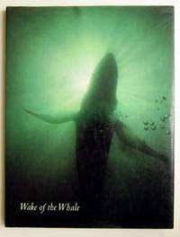 image of Wake of the Whale