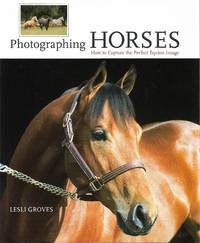 Photographing Horses : How to Capture the Perfect Equine Image